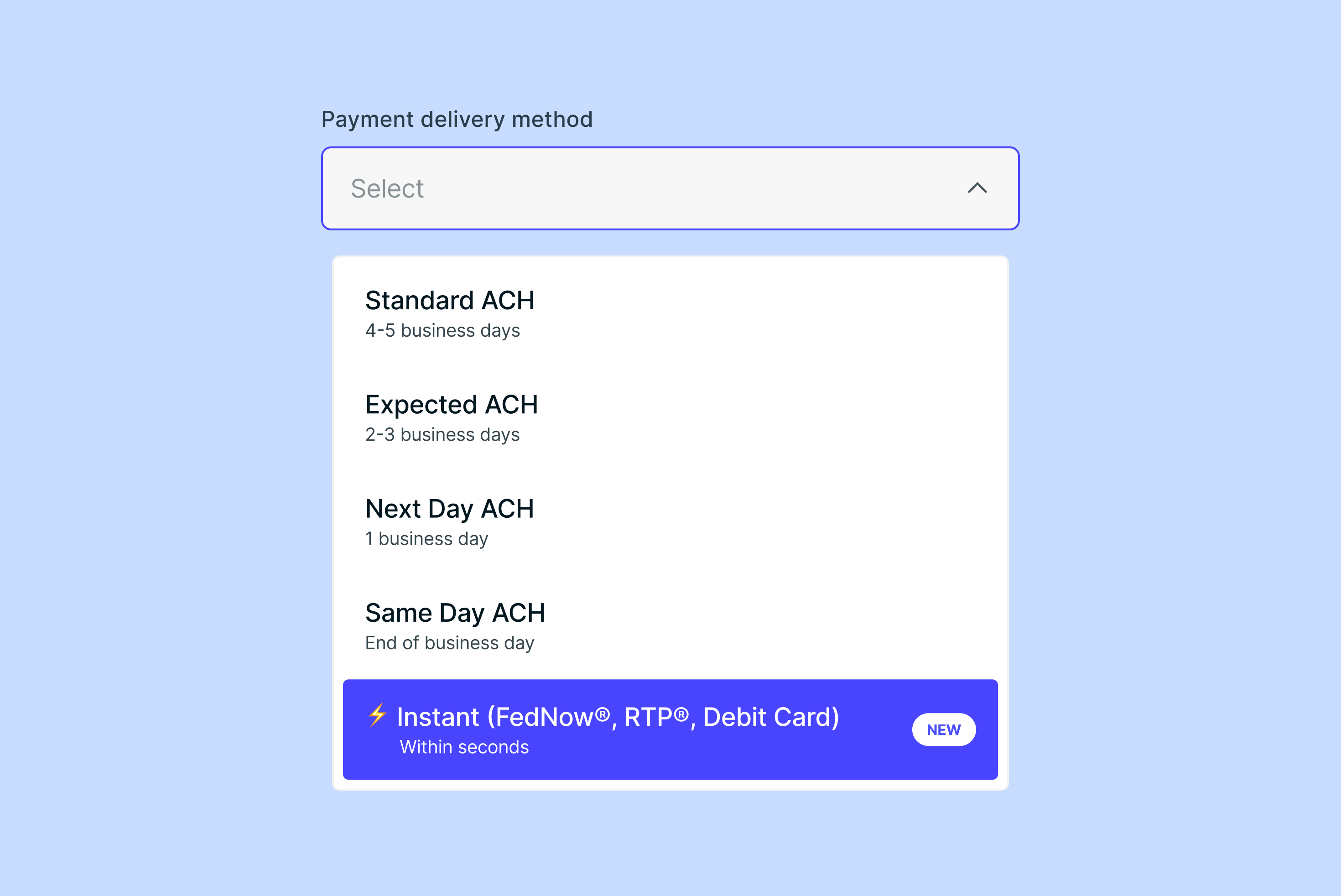 Website asset.jpg