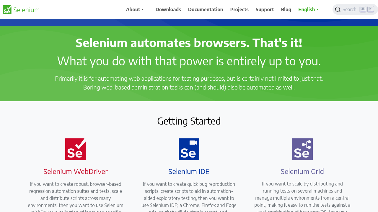 Best Multi-Website Automation Platforms for Businesses (November 2025)